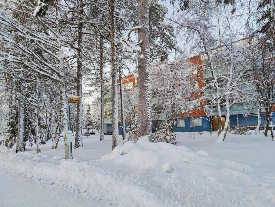 Spacious Apartment With Balcony And Free Wifi Rovaniemi Exterior foto